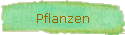 Pflanzen
